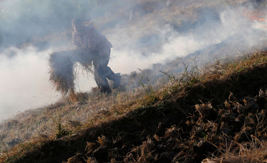حريق قش الأرز ساعد على انتشار السحابة السوداء